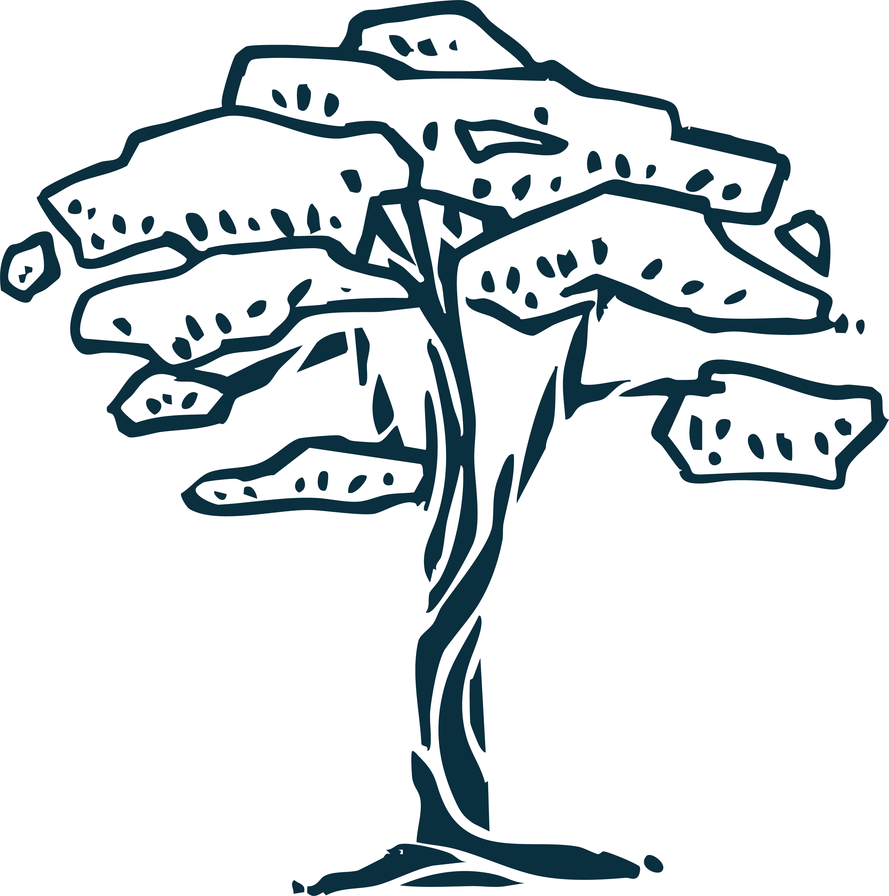 Carbon Reduction
